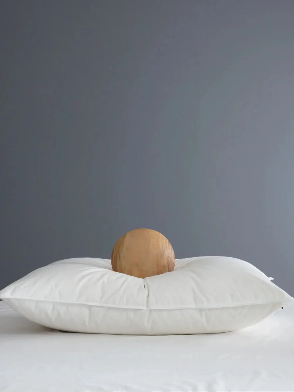 NWOT QUINCE Luxe White Goose Down Pillow Standard 9863